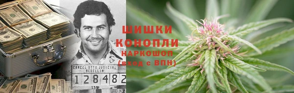 крисы Дмитров