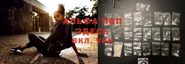 крисы Дмитров