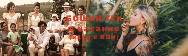 мет Елизово