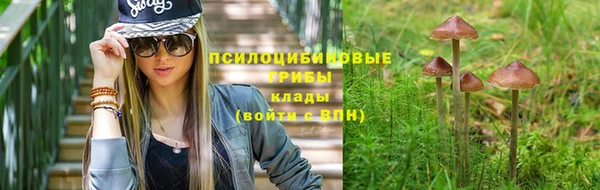 кокаин перу Дмитриев