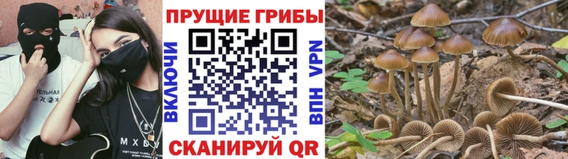 что такое наркотик  Коммунар  даркнет телеграм  Галлюциногенные грибы Psilocybe  hydra ссылка 